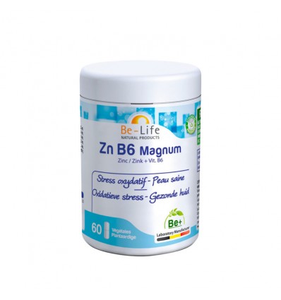 Zn B6 Magnum