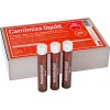Carnimixx liquid 20 ampollas 20 ml